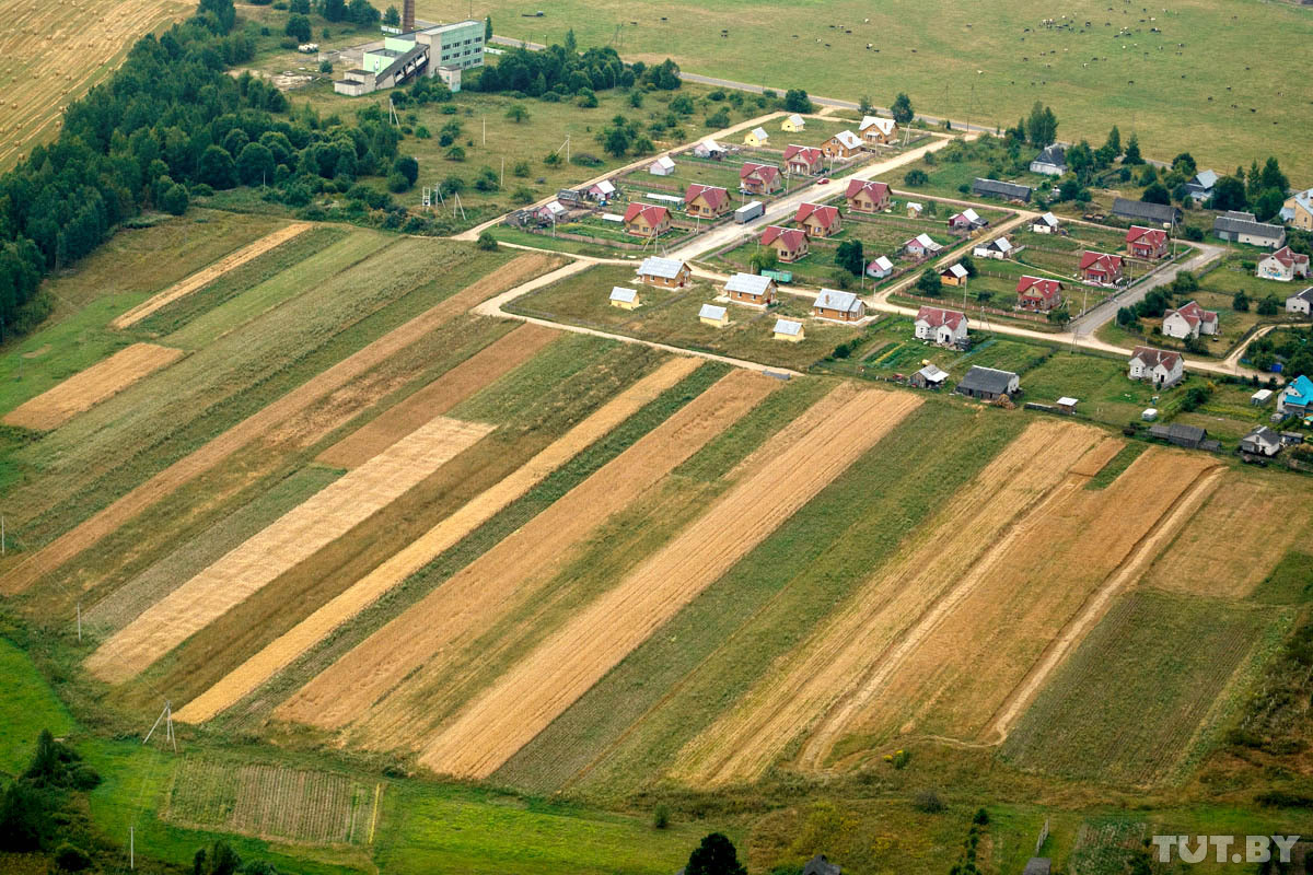 Проекты в деревне